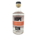 Hope London Dry Gin 希望 倫敦小琴酒【檸檬天竺葵小琴酒】 | 200ml NT$820 [43%]