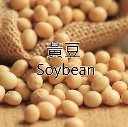 黃豆 Soybean｜基改與非基改 產地：巴西
