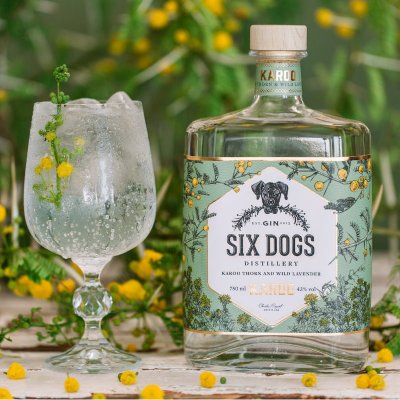 Six Dogs Karoo Gin 六犬 卡魯沙漠琴酒 | 750ml NT$2,600 [43%] 3