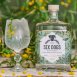 Six Dogs Karoo Gin 六犬 卡魯沙漠琴酒 | 750ml NT$2,600 [43%]