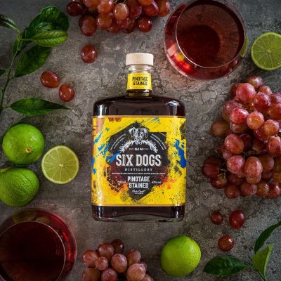 Six Dogs Pinotage Gin 六犬 皮諾塔吉紅酒琴酒 | 750ml NT$2,600 [43%] 5
