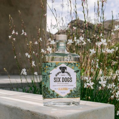 Six Dogs Karoo Gin 六犬 卡魯沙漠琴酒 | 750ml NT$2,600 [43%] 5